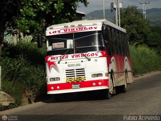 A.C. de Transporte La Raiza 079 por Pablo Acevedo