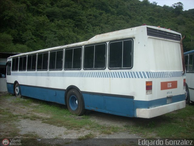 Particular NO USAR M�S 036 por Edgardo Gonz�lez