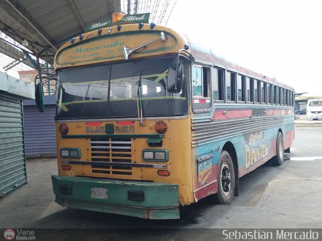 ZU - Colectivos Concepci�n 105 por Sebasti�n Mercado