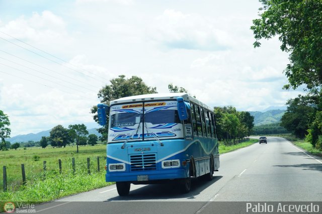 A.C. Transporte Paez 006 por Pablo Acevedo