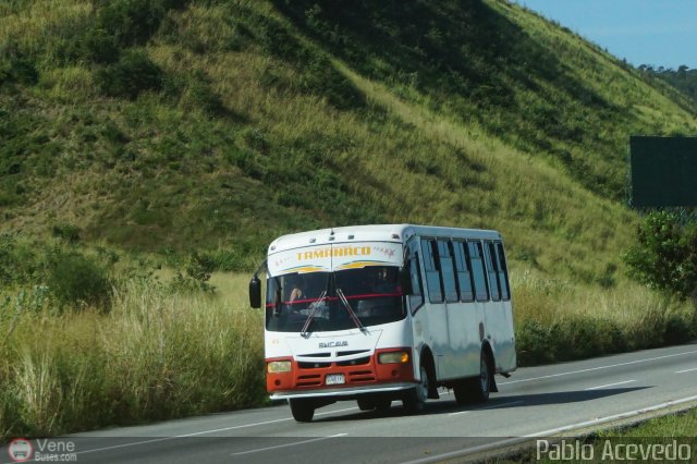 A.C. de Transporte Sol de Tamanaco 45 por Pablo Acevedo