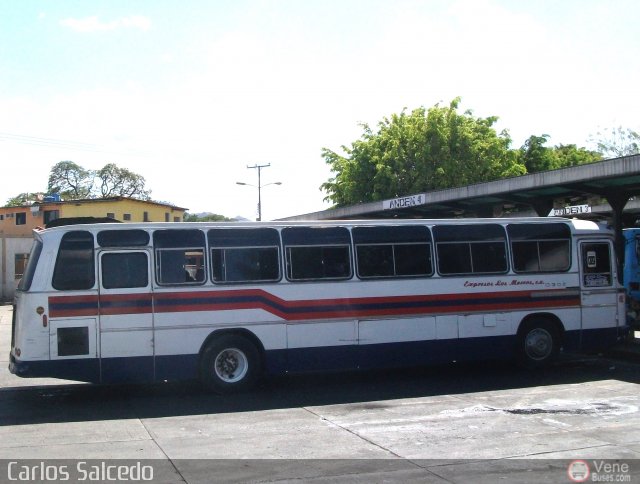 Expresos Los Morros 02 por Carlos Salcedo