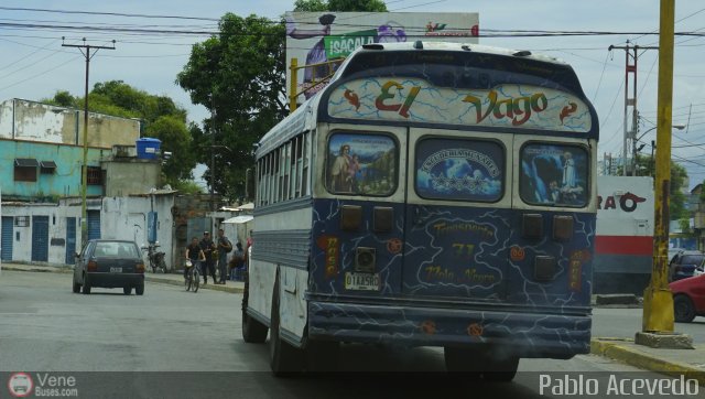 Transporte Colectivo Palo Negro 071 por Pablo Acevedo