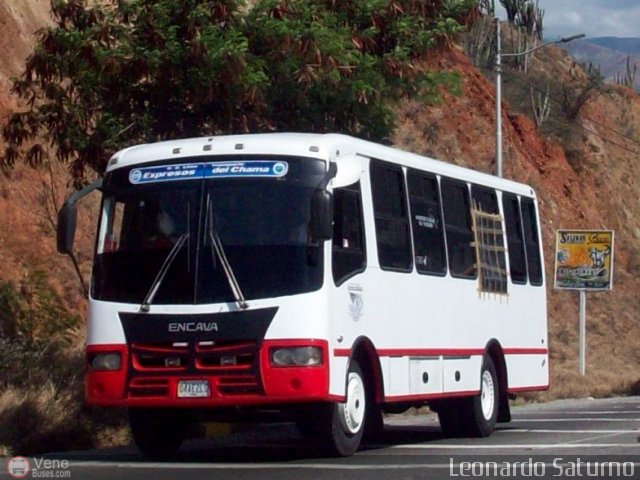 S.C. L�nea Transporte Expresos Del Chama 129 por Leonardo Saturno