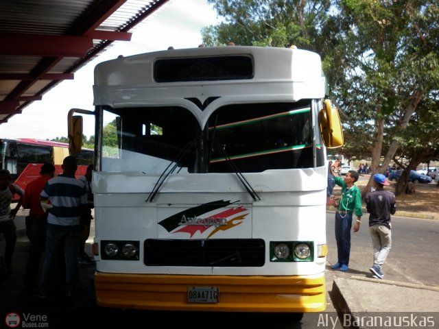 A.C.C. Turgar 08 por Aly Baranauskas