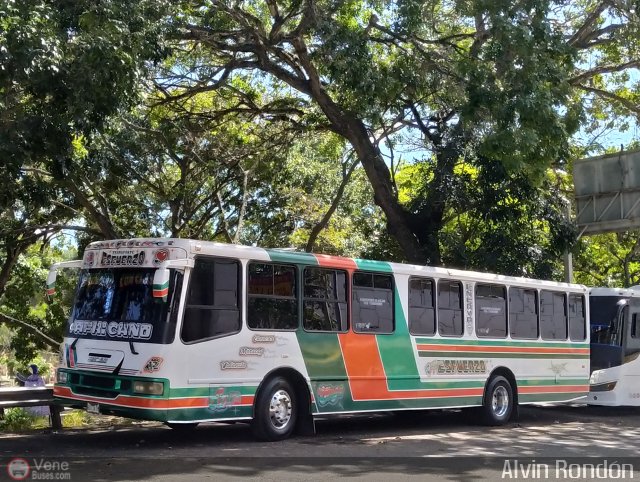 Transporte El Esfuerzo 12 por Alvin Rondn