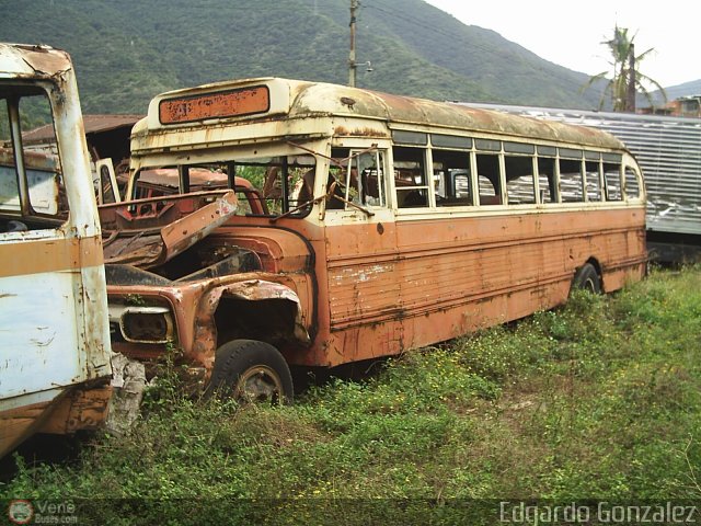 Instituto Municipal de Transporte Colectivo IMTC-T90 por Edgardo Gonzlez