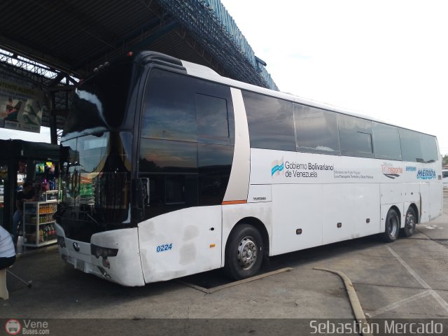 Expresos M�rida 0224 por Sebasti�n Mercado