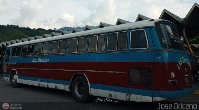 Transporte Las Delicias C.A. 28 por Jos� Brice�o