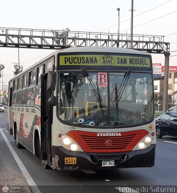 E.T. y Servicios Guadulfo Silva Carbajal 085 por Leonardo Saturno