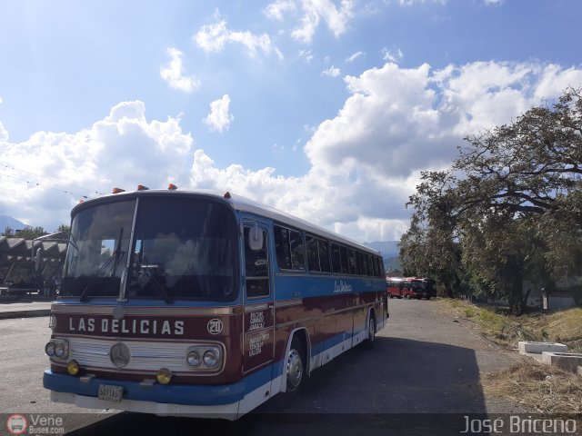 Transporte Las Delicias C.A. 20 por Jos� Brice�o