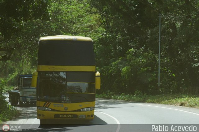 Transporte Nueva Generacin 0099 por Pablo Acevedo