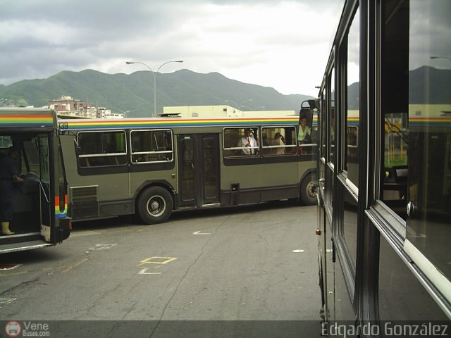 Profesionales del Transporte de Pasajeros Conductores por Edgardo Gonzlez