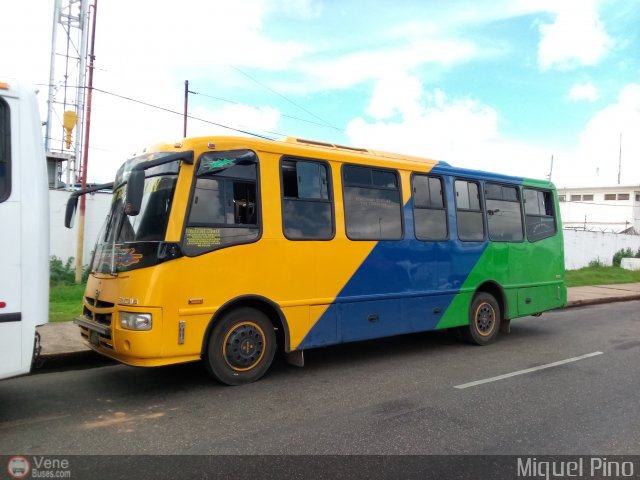 Transporte Virgen del Carmen 40 por Miguel Pino