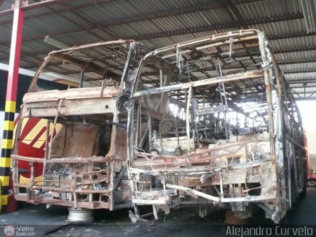 Foto �nibus Brasil.com, por Alejandro Curvelo