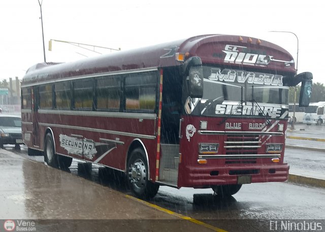 Particular NO USAR M�S Ni�obus por �ngel Delgado