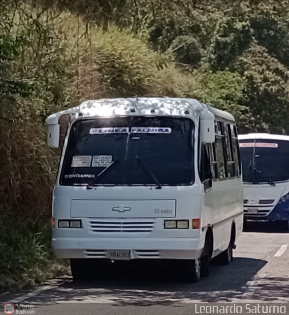 TA - A.C. Autos por puesto L�nea Palmira 033 por Leonardo Saturno