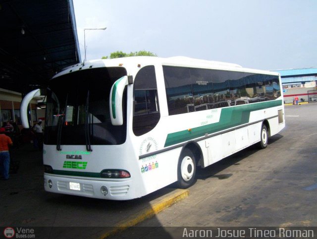 Servicios Especiales del Centro C.A. 23 por Alvin Rondn