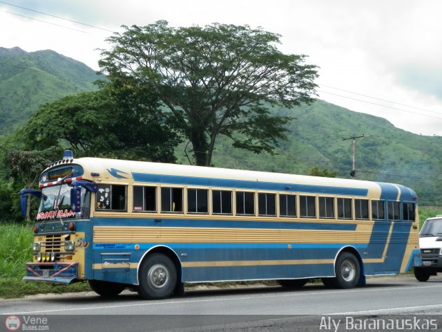 Transporte Guacara 0090 por Aly Baranauskas