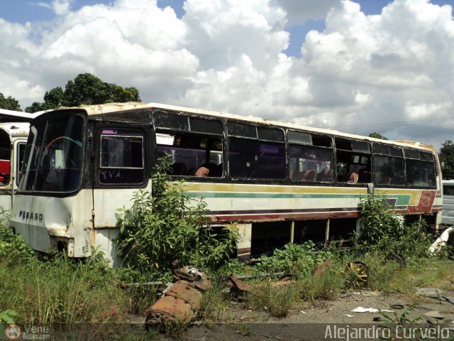 En Chiveras Abandonados Recuperacin AC0033 por Alejandro Curvelo