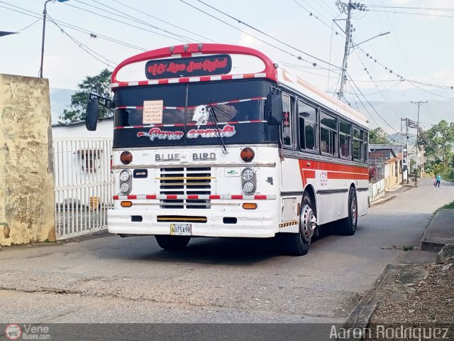 A.C. L�nea San Rafael 02 por Aaron Rodr�guez