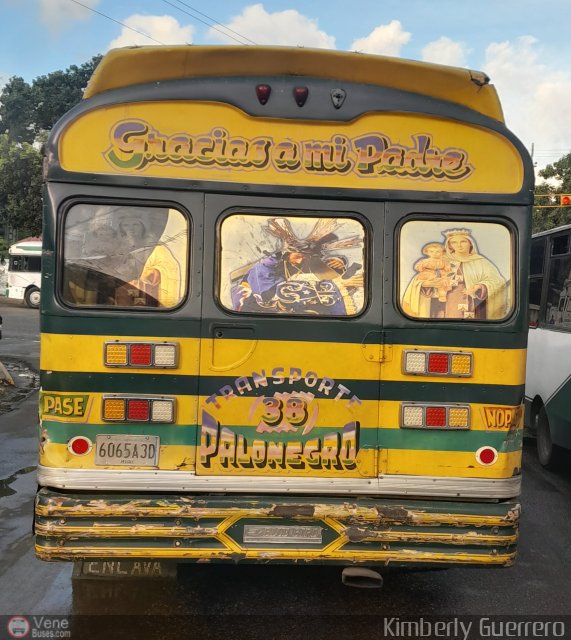 Transporte Palo Negro La Morita 2 038 por Kimberly Guerrero