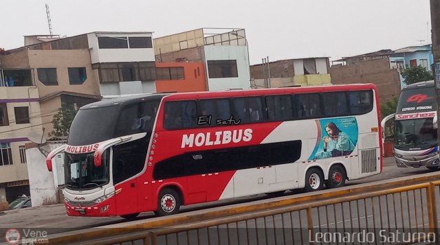 Transportes y Servicios Molibus 766 por Leonardo Saturno