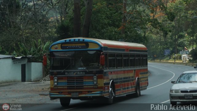 Transporte Unido 041 por Pablo Acevedo