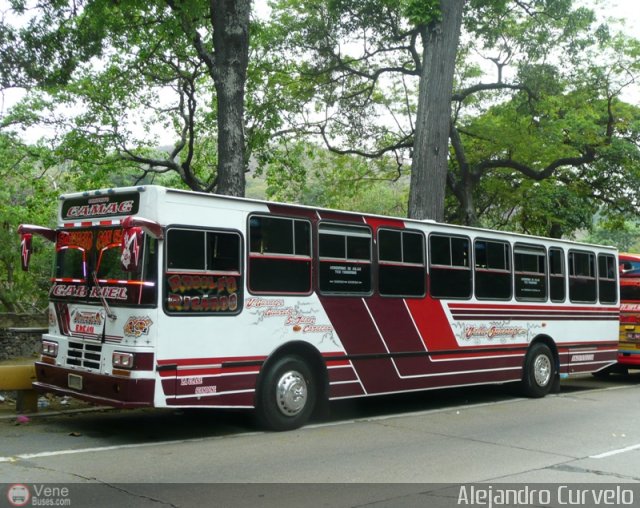 Transporte Colectivo Camag 14 por Alejandro Curvelo