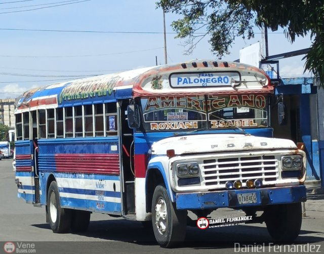 Transporte Colectivo Palo Negro 001 por Daniel Fern�ndez