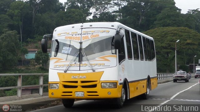 S.C. L�nea Transporte Expresos Del Chama 175 por Leonardo Saturno