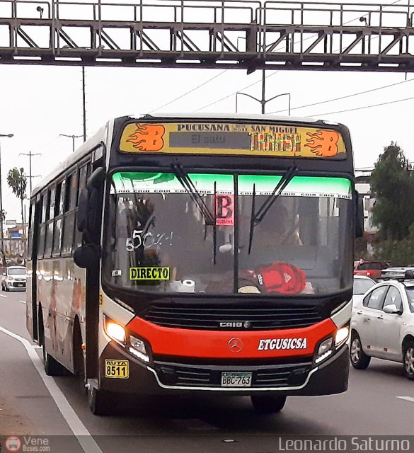 E.T. y Servicios Guadulfo Silva Carbajal 763 por Leonardo Saturno