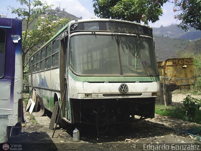 En Chiveras Abandonados Recuperacin  por Edgardo Gonzlez