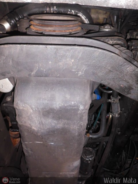 Particular o Desconocido 0343 por Waldir Mata