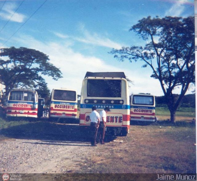 Expresos Occidente EOCA-19 por Pablo Acevedo