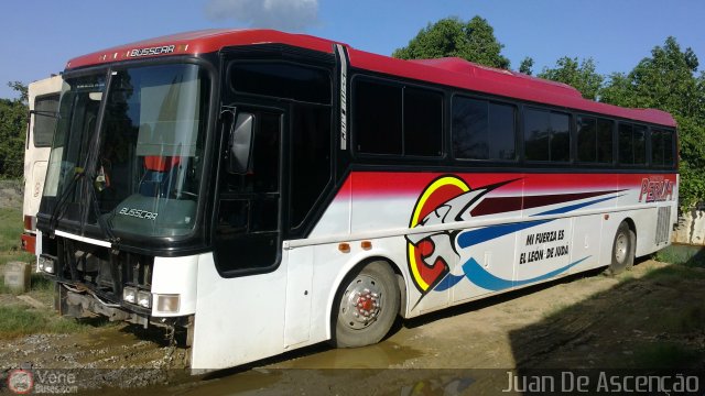 Expresos Perij� 99 por Juan De Ascen��o