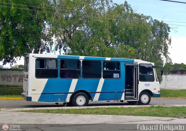 A.C. de Transporte Los Rapiditos de Montalbn 09 por Eduard Delgado