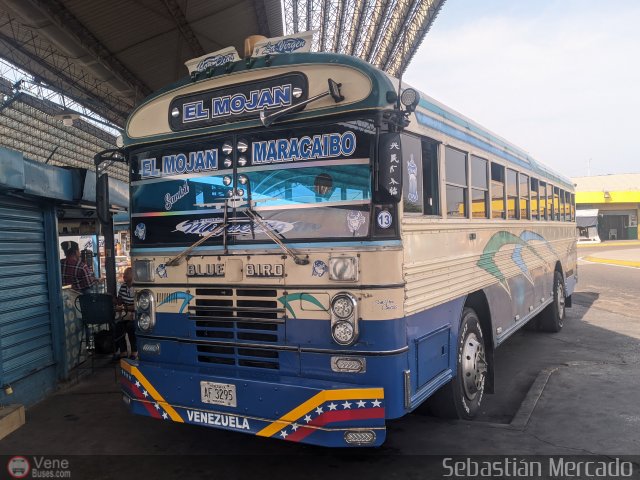 Colectivo San Rafael 13 por Sebastin Mercado