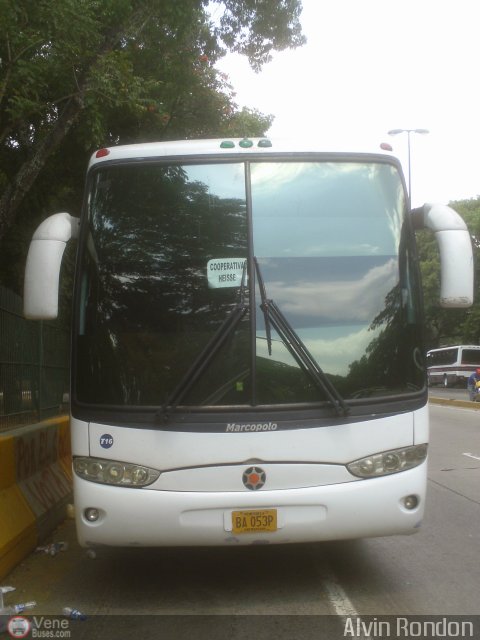 Ejecutivos Tony C.A. T16 por Alvin Rond�n