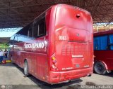 Bus Carpano 9963, por Michael Caraballo
