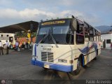 A.C. Transporte Paez 076, por Pablo Acevedo