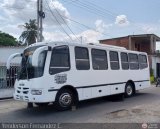 A.C. Transporte Paez 033