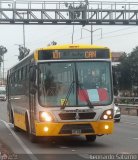 Per Bus Internacional - Corredor Amarillo 835, por Leonardo Saturno