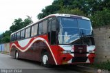 Particular o Transporte de Personal 303