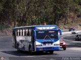 Colectivos Altagracia 95