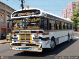 ZU - Ral Leoni 08, por Sebastin Mercado