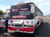 Expresos La Gran Colombia 23