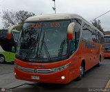 Pullman Bus (Chile) 0116, por Jerson Nova