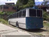 Particular o Transporte de Personal 35 por Jose Alberto Serra Mata