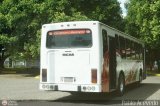Expresos Juregui 138 Encava E-NT3200 Encava Cummins BG195